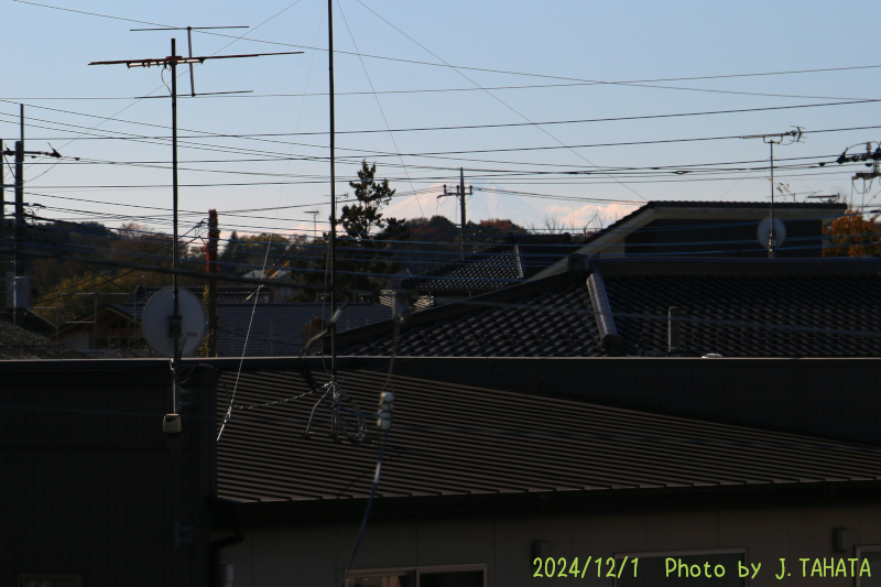 08010216_3
