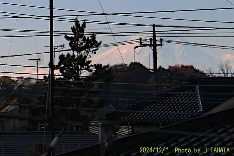 08010216_4
