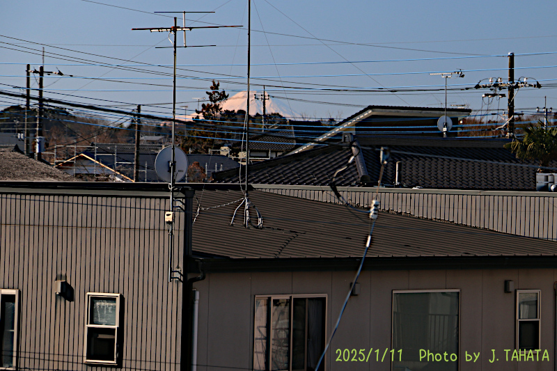 08010216_6