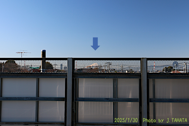 11020111_5