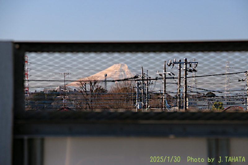 11020111_6