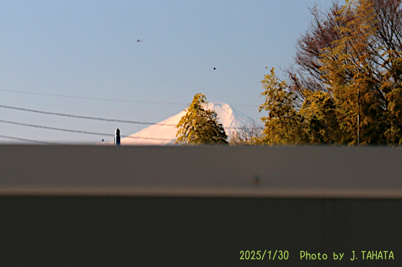 11020113_3
