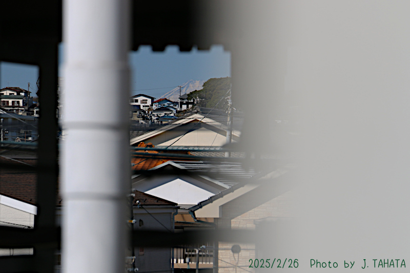 13090148_10