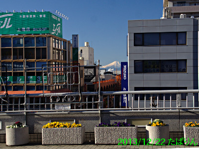 51024103_3