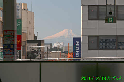 51024103_4