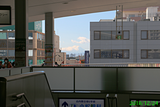 51024103_5