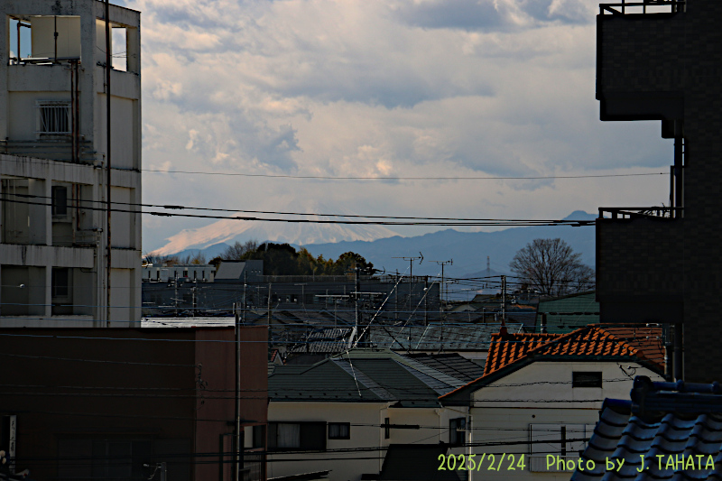 51024107_16