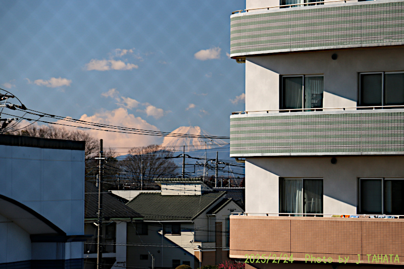 51024108_17