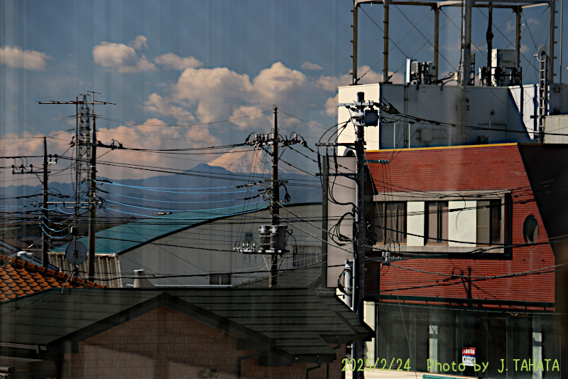 51024109_21