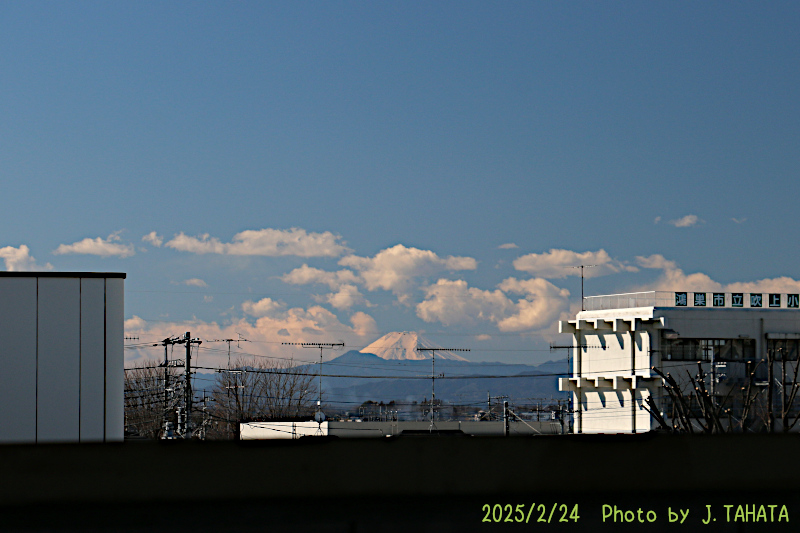 51024109_25