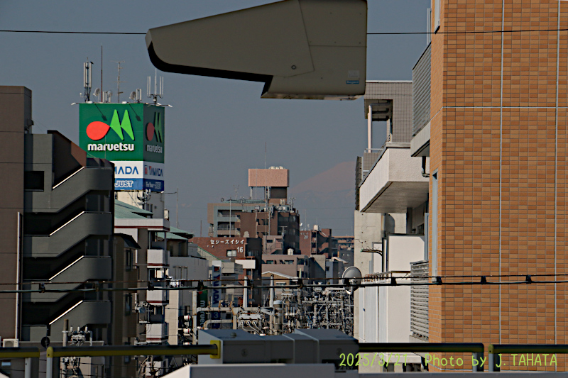 51025308_11