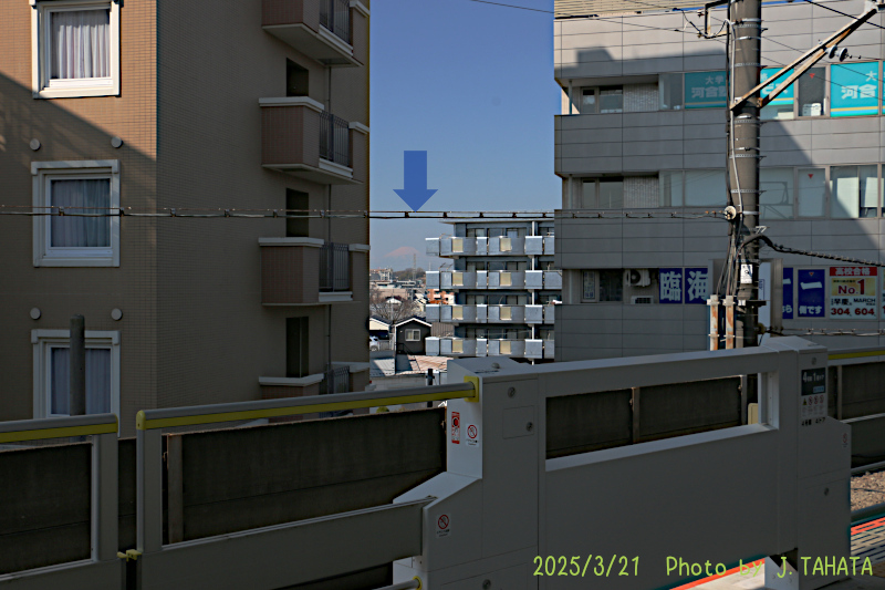 51025308_12