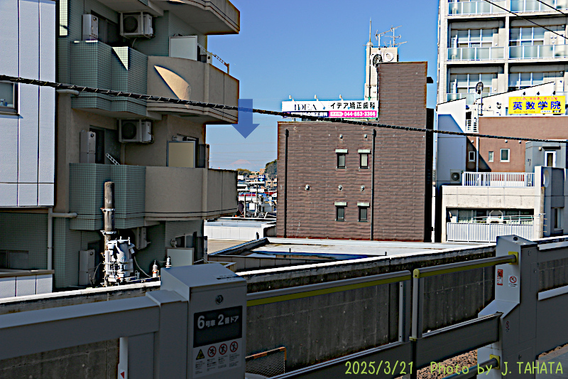 51025309_10