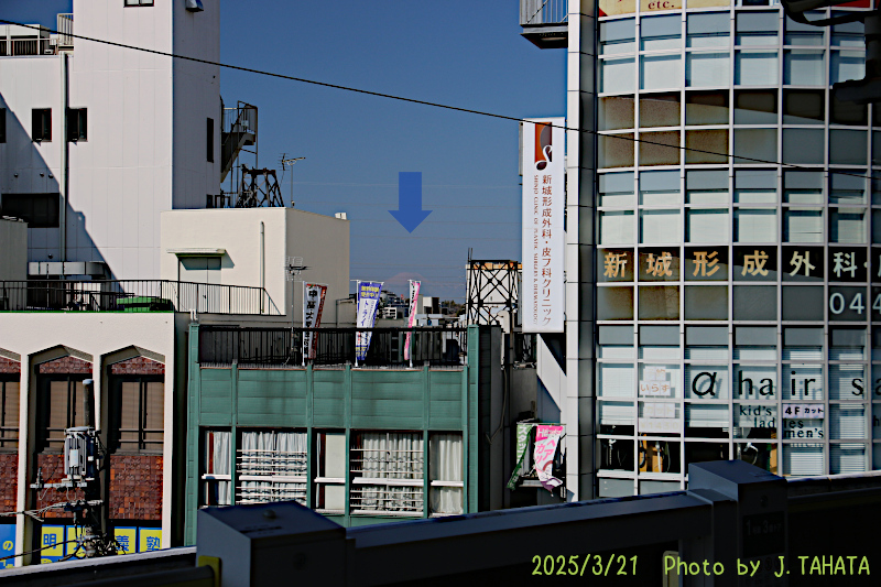 51025309_8
