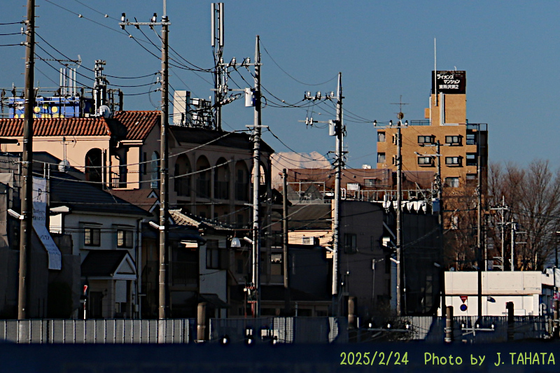 51026306_11