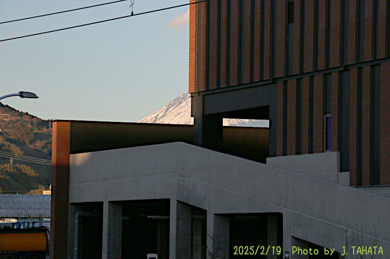 51031015_21