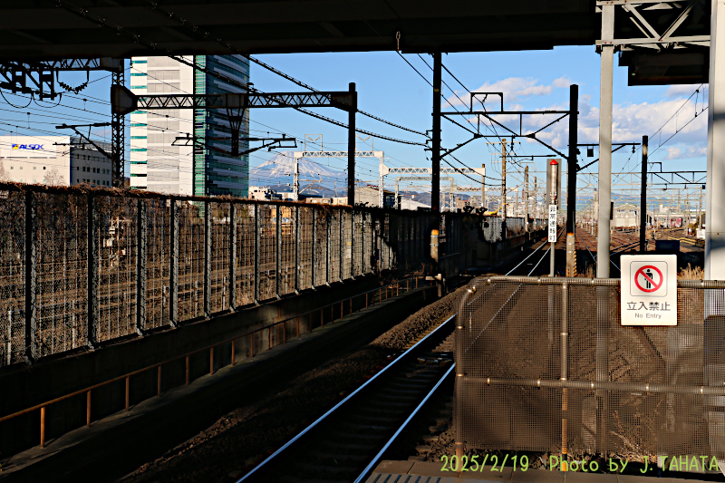 51031017_6