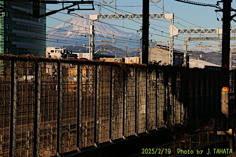 51031017_7