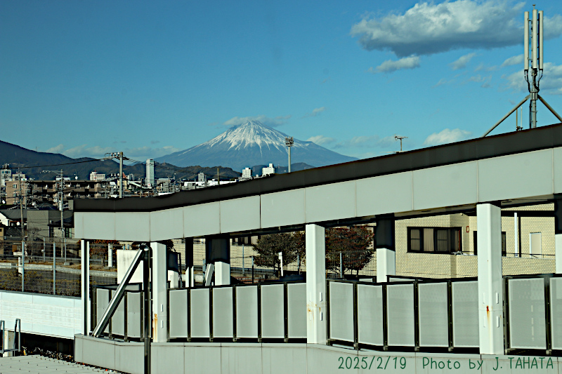 51031019_13