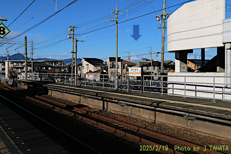 51031019_8
