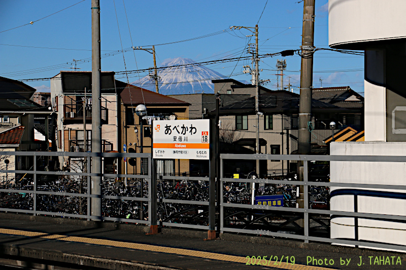 51031019_9