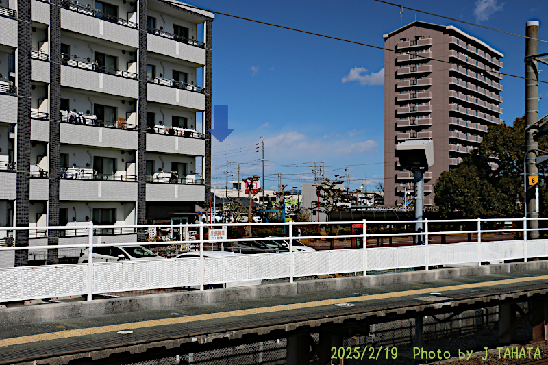 51031032_5