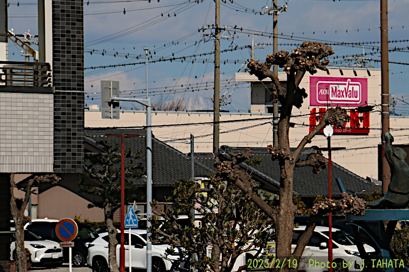 51031032_7