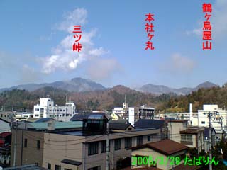 050329
