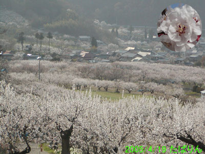 050420