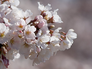080406_2 080406_2
