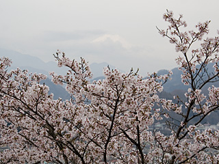 2012年4月16日の富士山写真