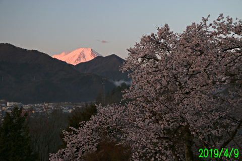 2019年4月9日の富士山