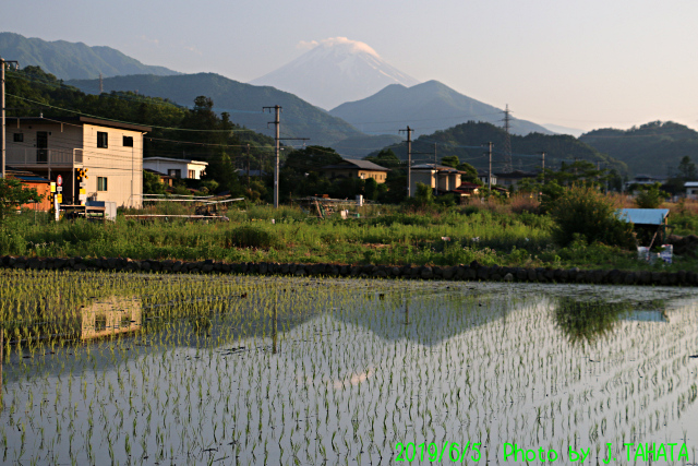 2019年6月5日の富士山写真