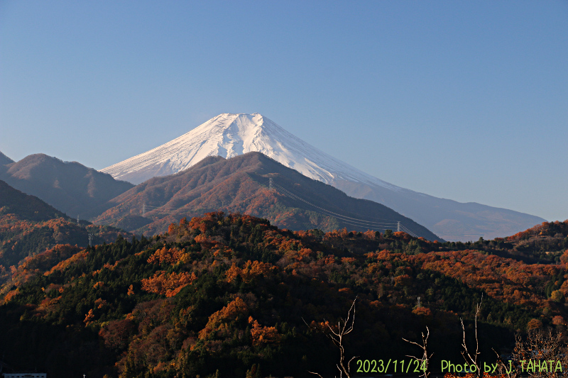 2023年11月24日の富士山写真