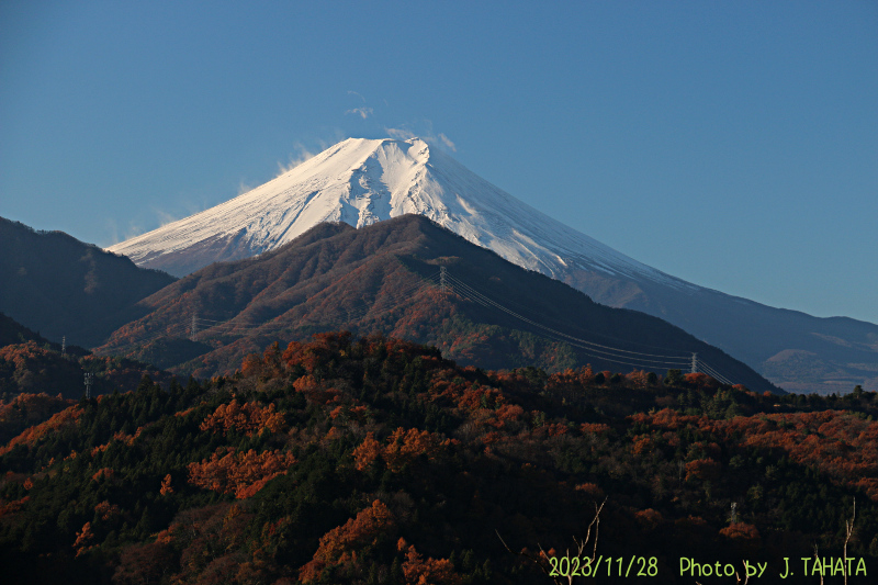 2023年11月28日の富士山写真