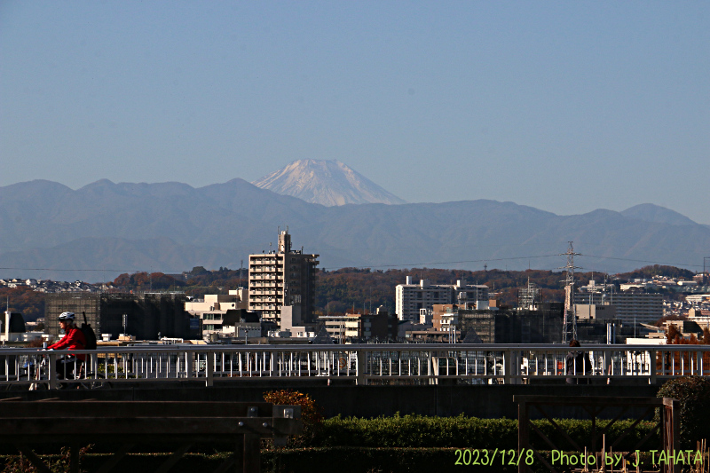 2023年12月8日の富士山写真