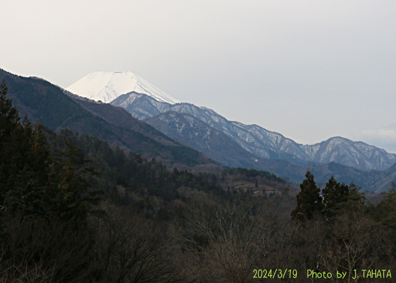 2024年3月19日の富士山写真