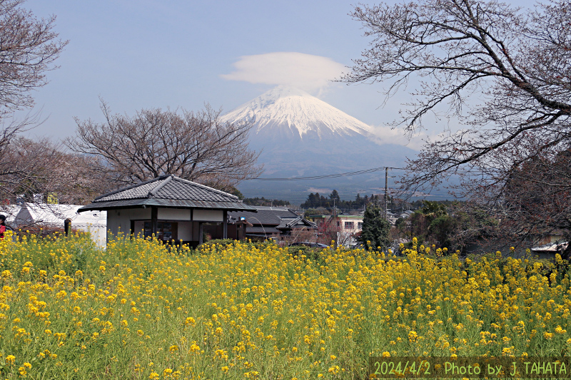 2024年4月2日の富士山写真