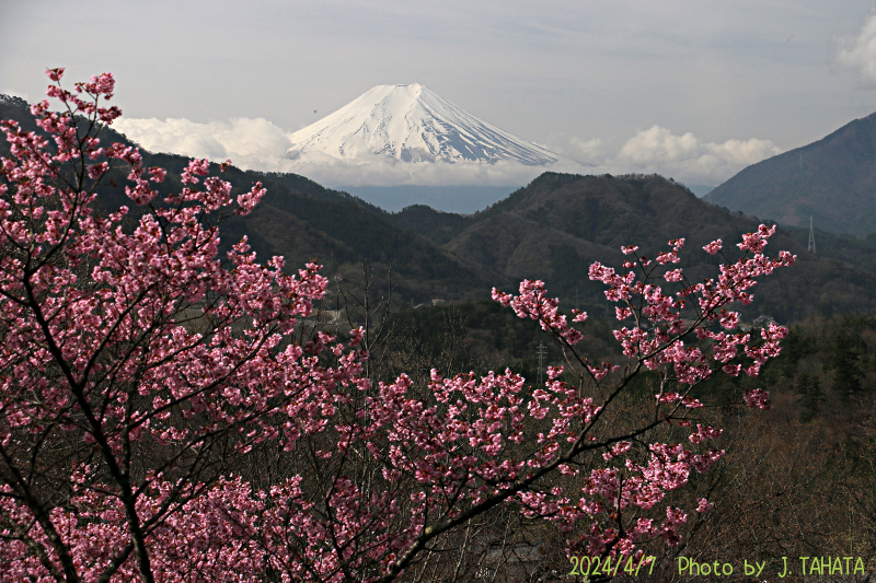 2024年4月7日の富士山写真