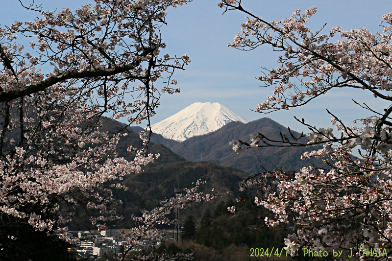 2024年4月11日の富士山写真