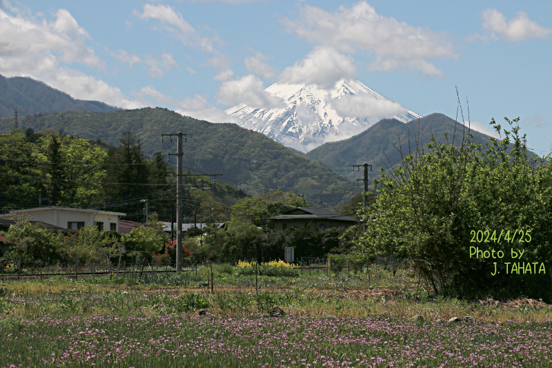 2024年4月25日の富士山写真