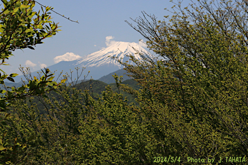2024年5月4日の富士山写真