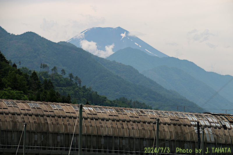 2024年7月3日の富士山写真