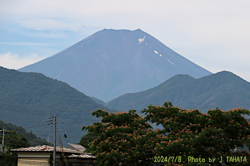 2024年7月8日の富士山写真