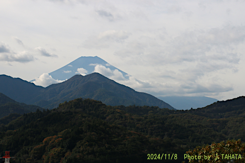 2024年11月8日の富士山写真