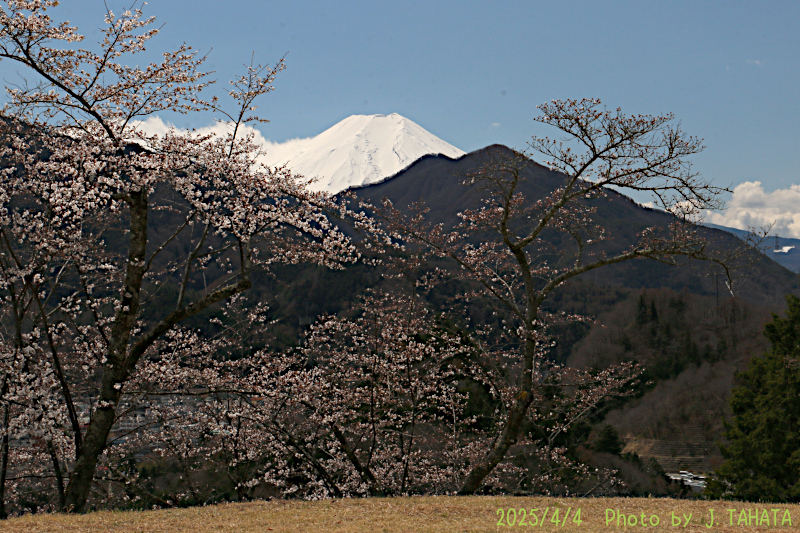 2025年4月4日の富士山写真