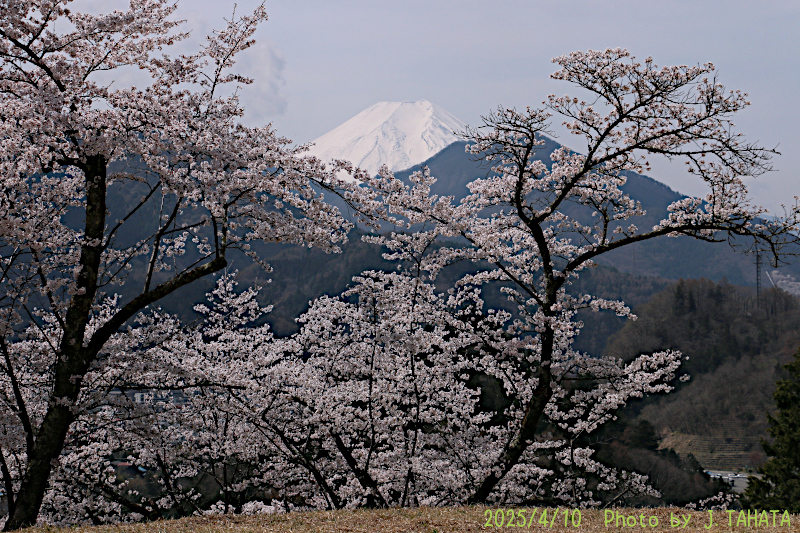 2025年4月10日の富士山写真