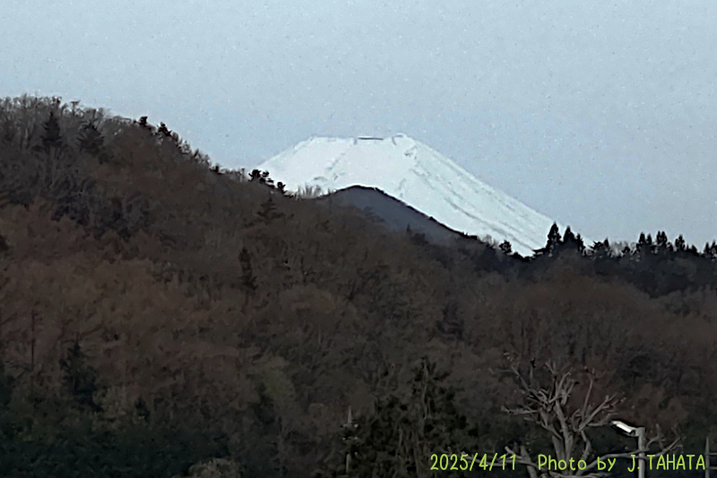 2025年4月11日の富士山写真