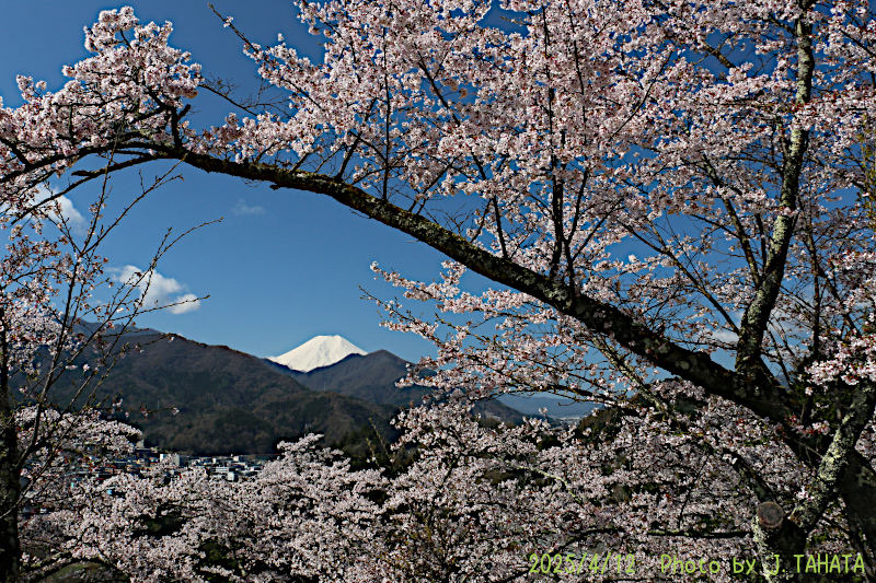 2025年4月12日の富士山写真