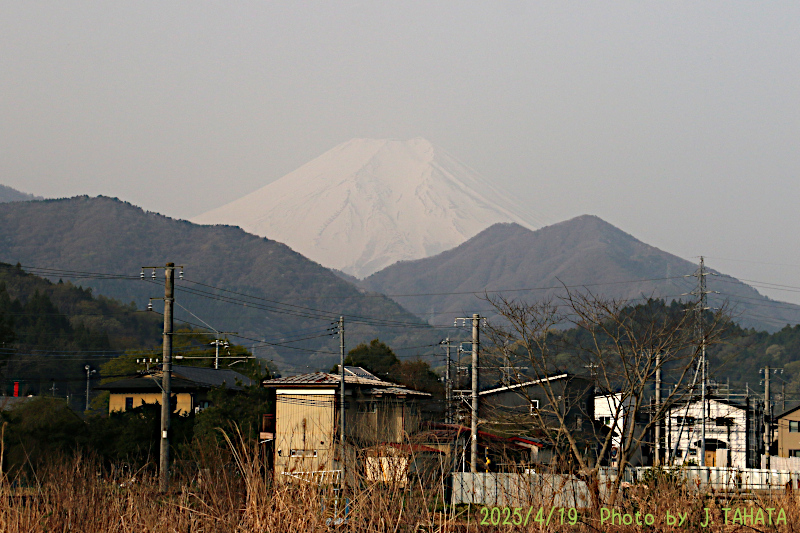 2025年4月19日の富士山写真